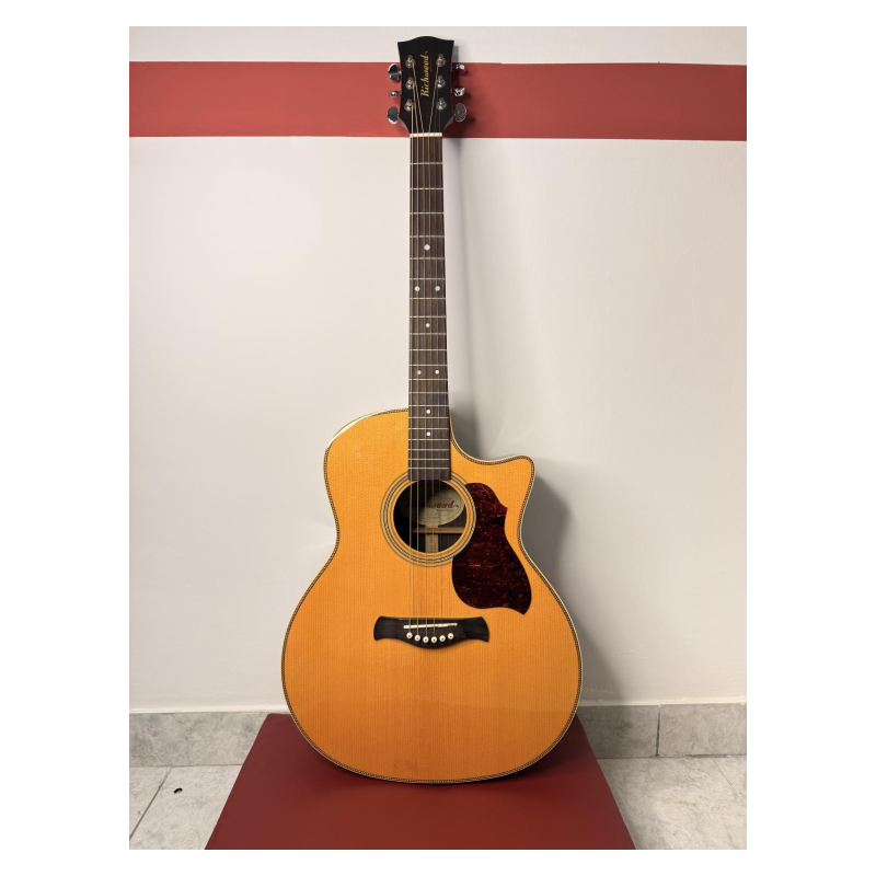 Richwood G-65-CEVA Chitarra Acustica Elettrificata | Idea Music Store