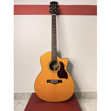 Richwood G-65-CEVA Chitarra Acustica Elettrificata | Idea Music Store