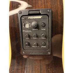 Richwood G-65-CEVA Chitarra Acustica Elettrificata | Idea Music Store