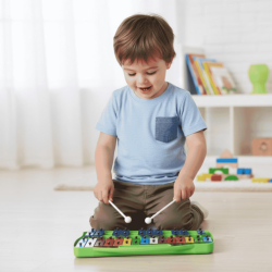 Alysee MT25-C-GR Metallofono 25 Note Colorate Verde | Idea Music Store