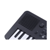 Medeli MK49 Arranger Tastiera Portatile 49 Tasti | Idea Music Store