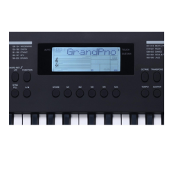 Medeli MK49 Arranger Tastiera Portatile 49 Tasti | Idea Music Store